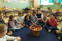 IMG_20221122_105505