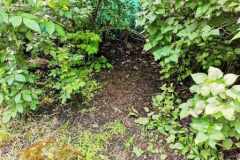 received_1353164545373711