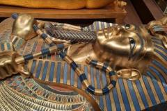 Návšteva výstavy - Tutanchamon